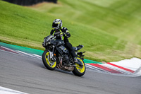 PJ-Motorsport-2019;donington-no-limits-trackday;donington-park-photographs;donington-trackday-photographs;no-limits-trackdays;peter-wileman-photography;trackday-digital-images;trackday-photos